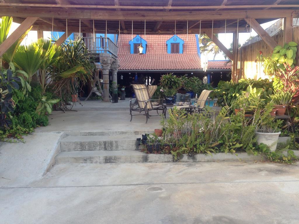 De Cuba Bed & Breakfast Noord Exterior foto