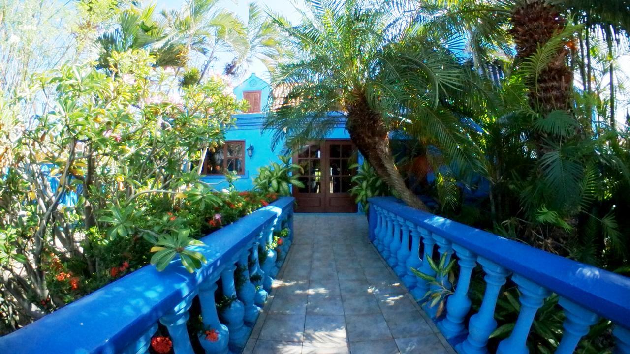 De Cuba Bed & Breakfast Noord Exterior foto